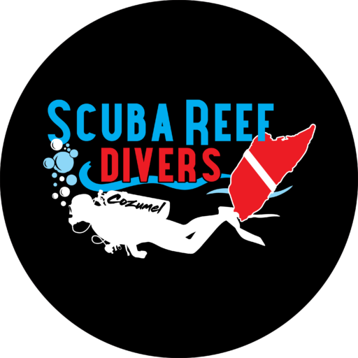 scuba reef divers